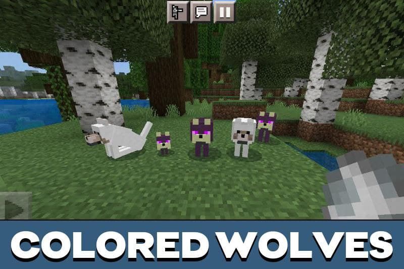 Wolf 2