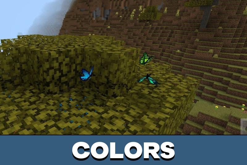 Bat Texture Pack 5