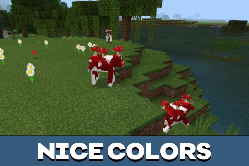 Cow 4