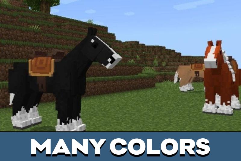 Horse 2