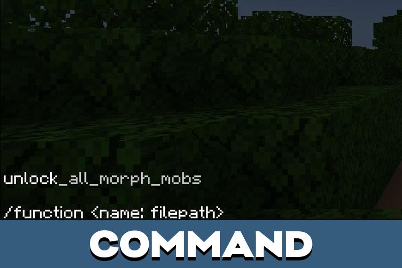 Morph 5
