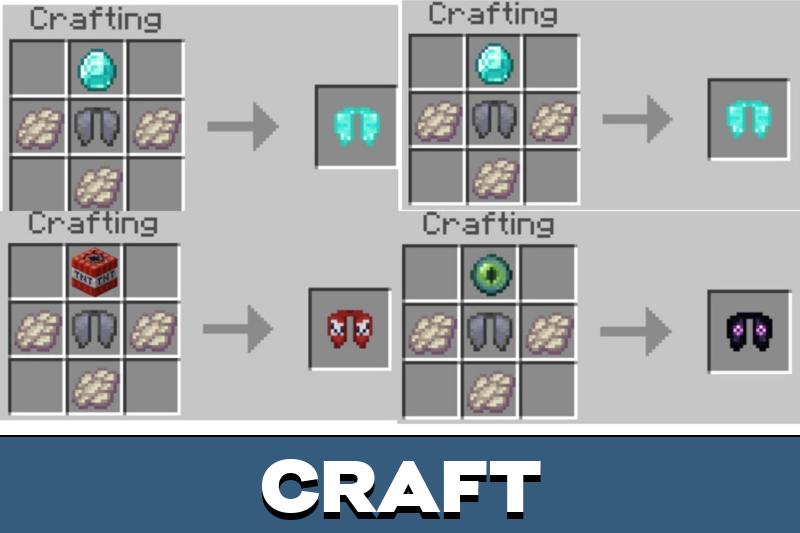 Elytra 6