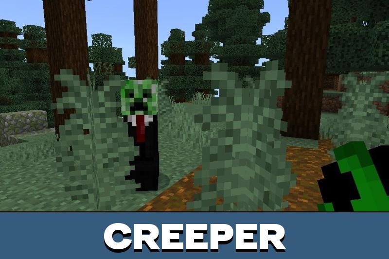 Outfitted Mobs Texture Pack 5