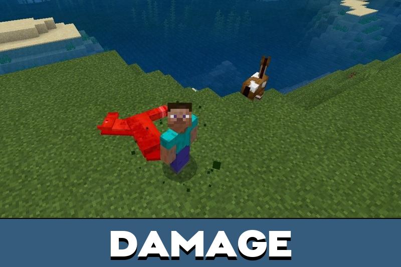 Fart 5