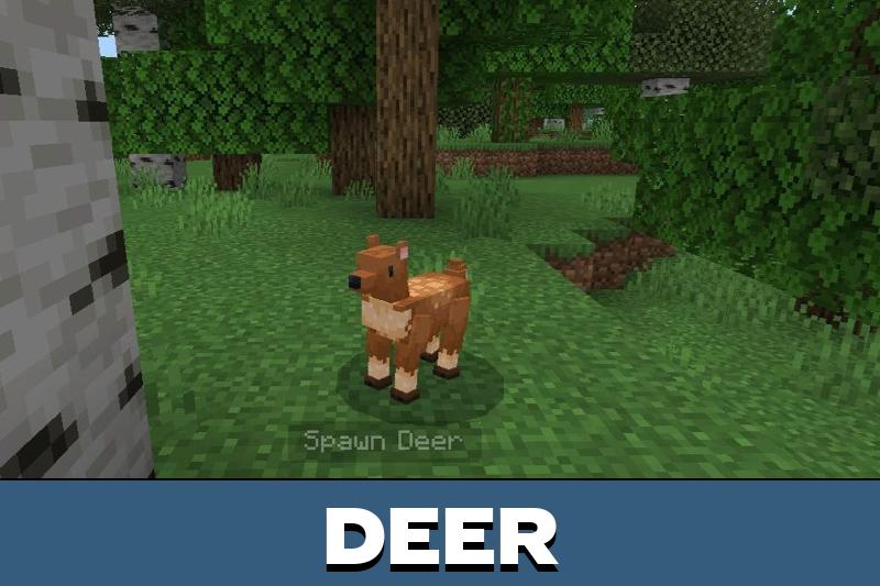 Forest Mobs 1