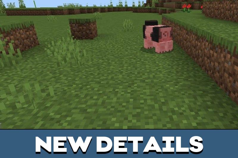Pig 3