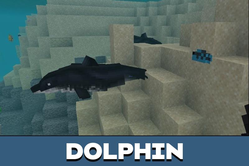 Ocean Creatures 2