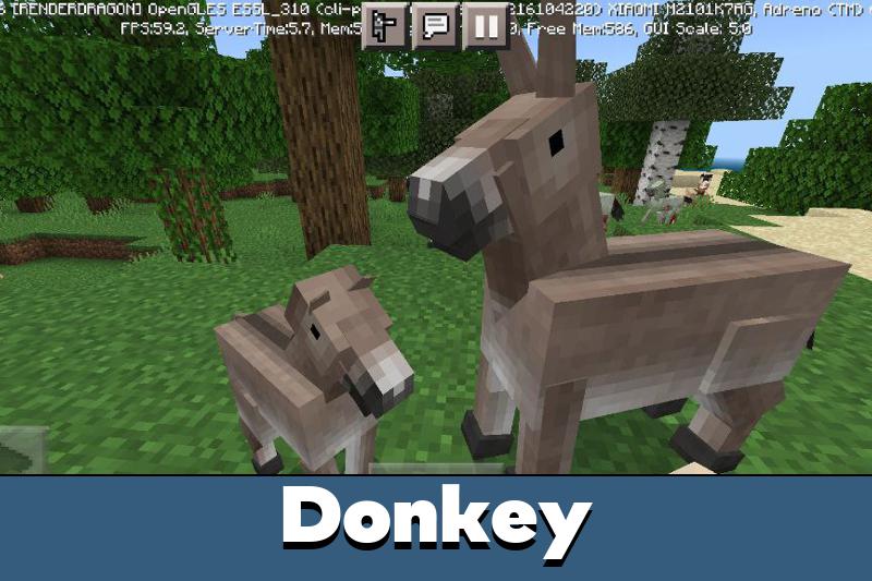 Horse Texture Pack 5