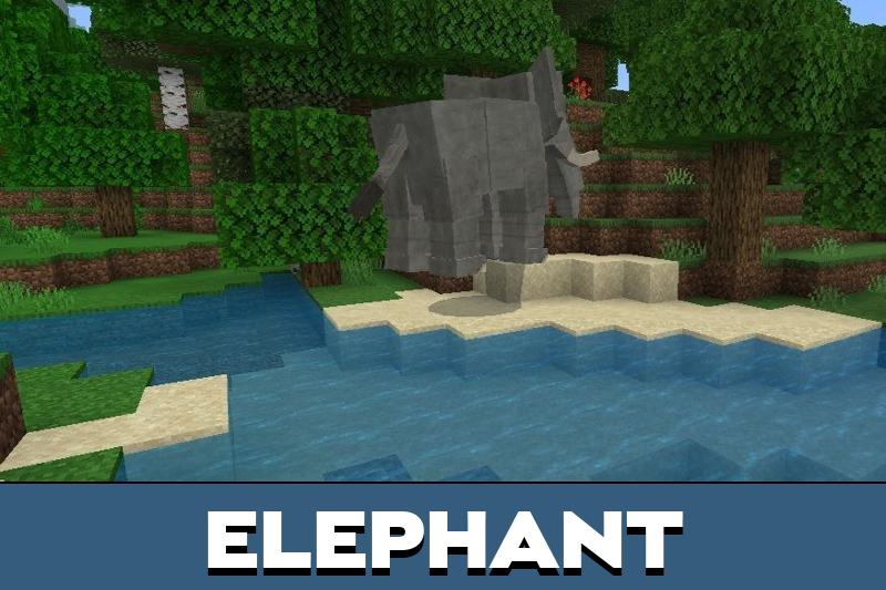 World Animals 3