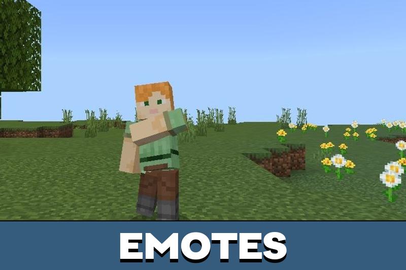 One Piece Texture Pack 4