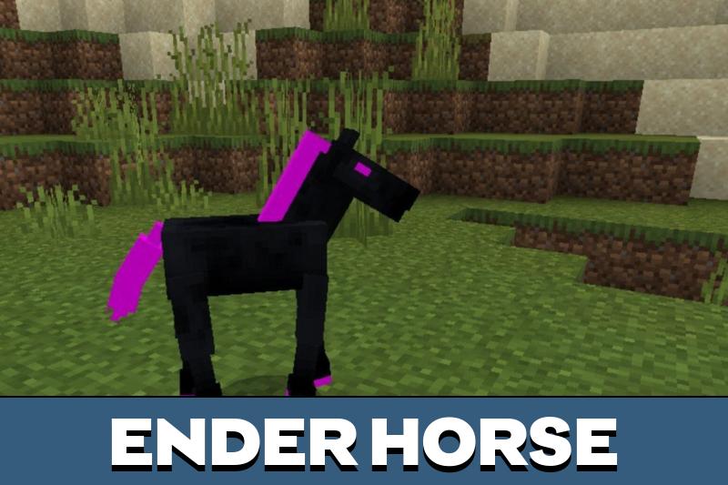 Horse 1
