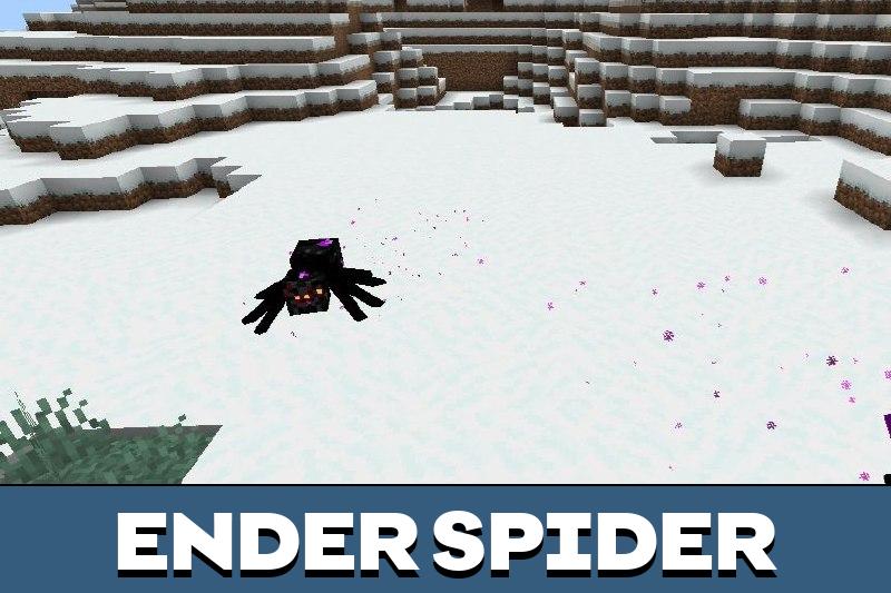 Spider 5
