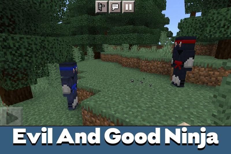 Ninja 2