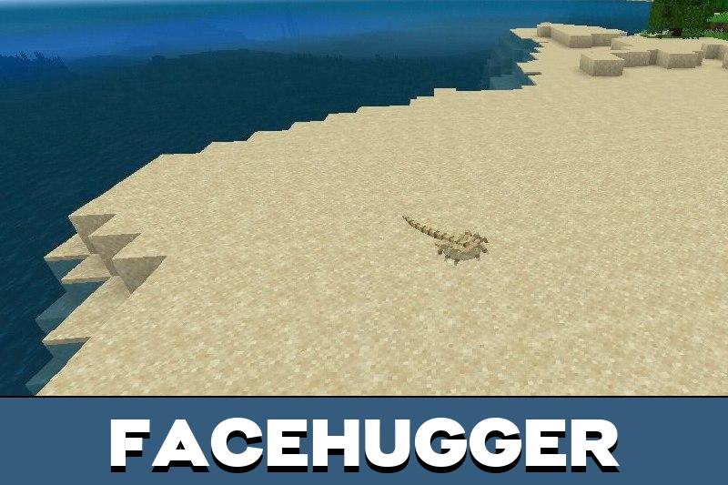 Xenocraft 4