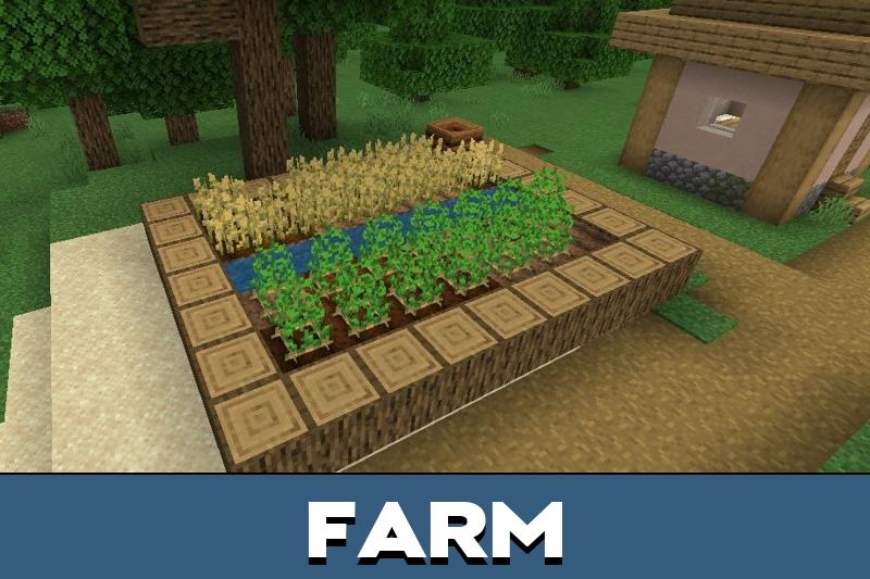Edds Easy Harvest 1