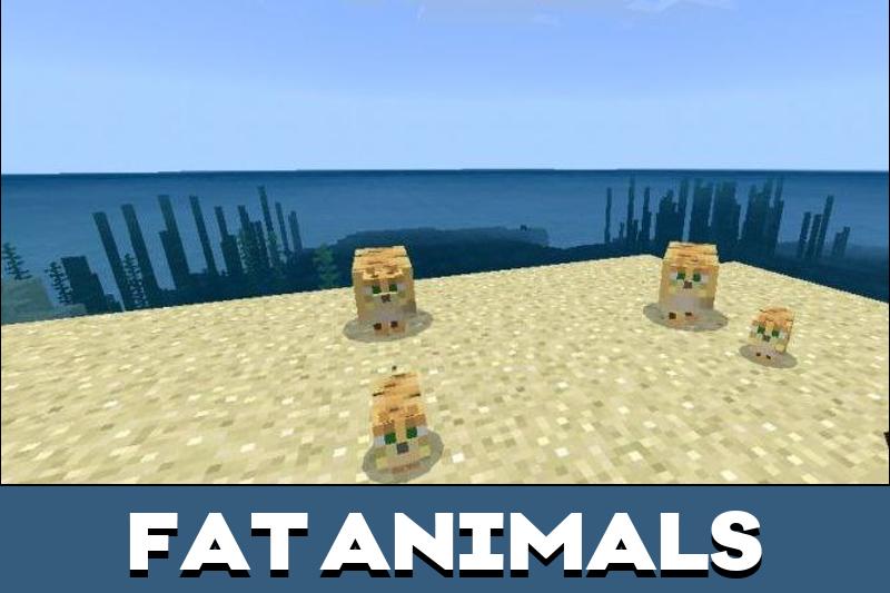 Cat Texture Pack 4