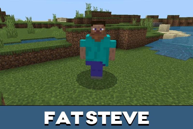 Steve 3