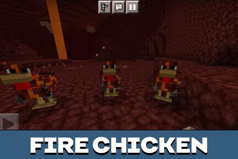 Chicken 4