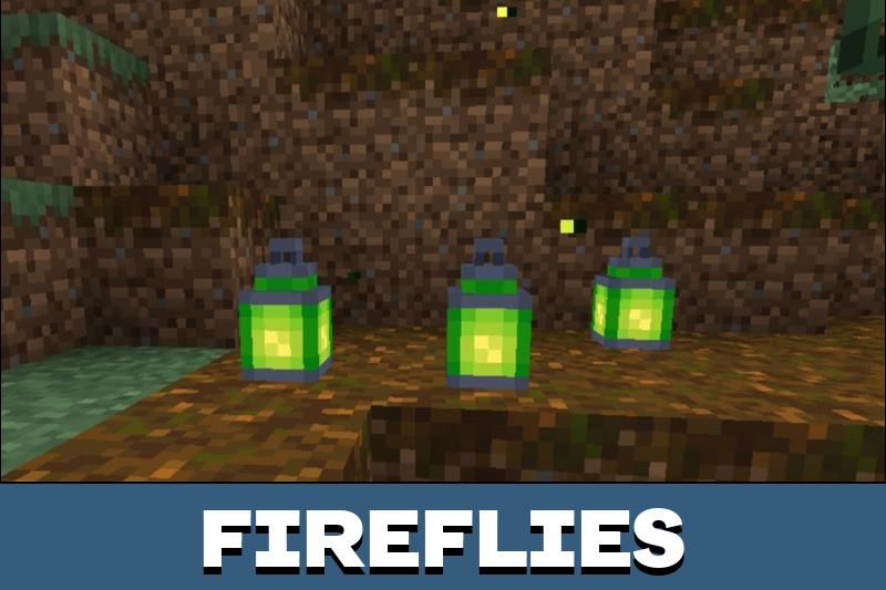 Lanterns 1