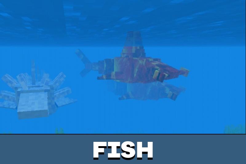Whale 4