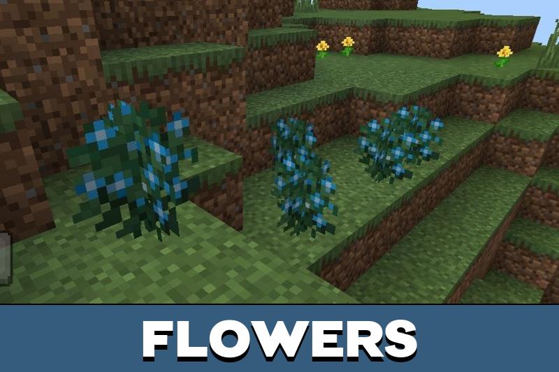 Ages Evolution 4