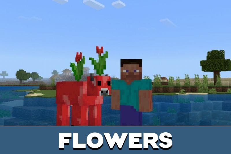 Cow 2