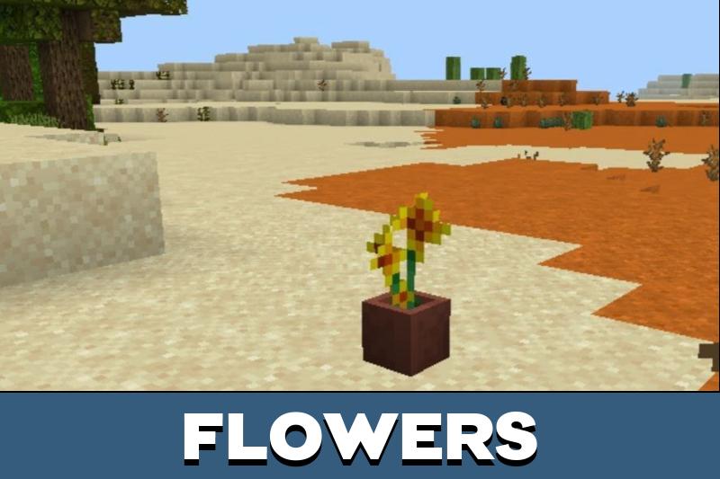 Fauna and Flora 3