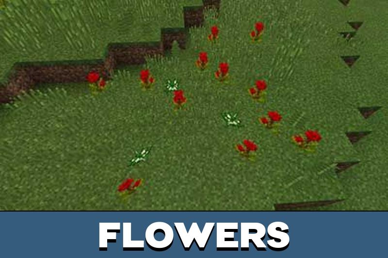 Multicraft 5