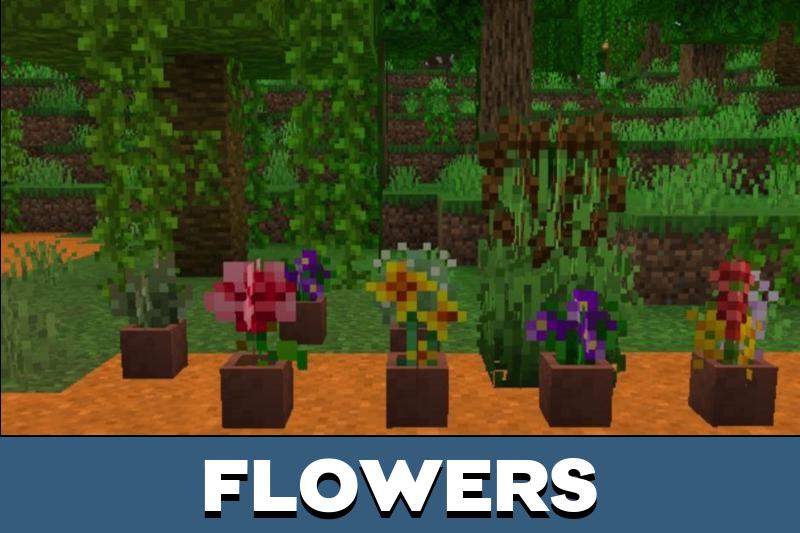 Plant 4