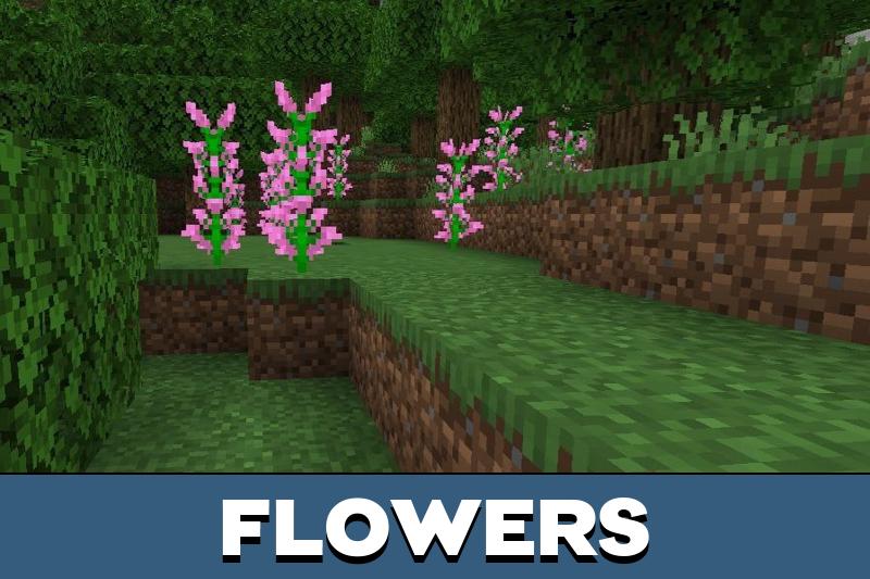 Plants Texture Pack 3