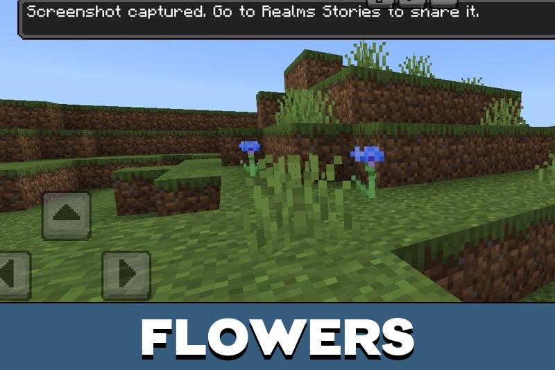 Screenshot Taker Texture Pack 5