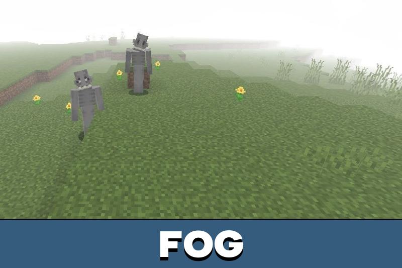 From the Forest 2