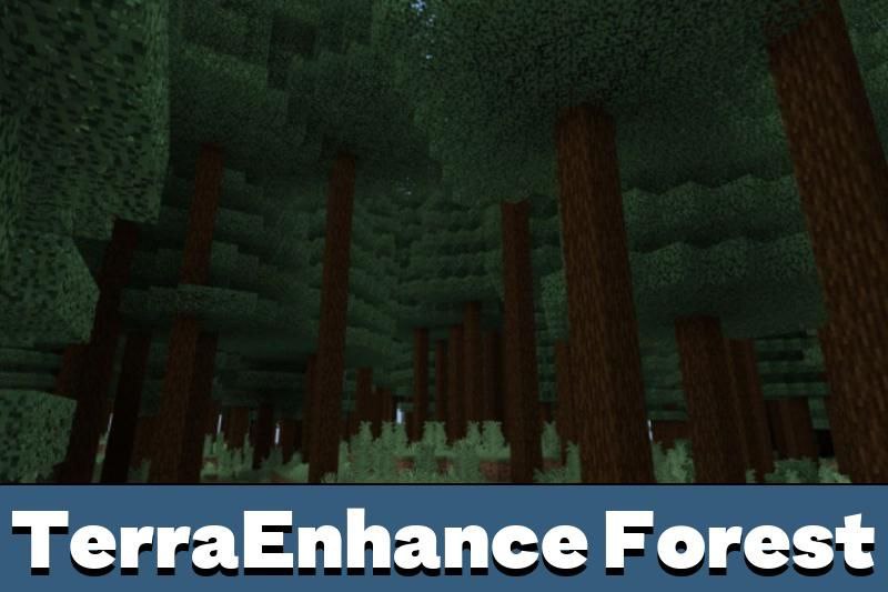 Biomes 3