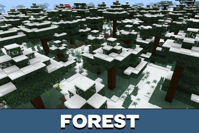 Cold Biome 4