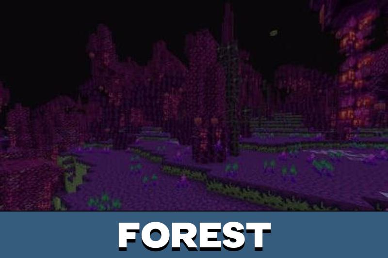 Ender World 5
