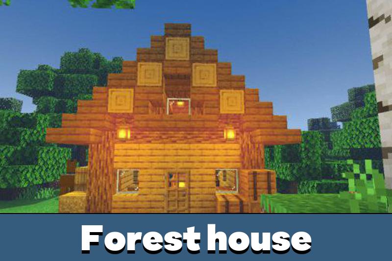 House 1