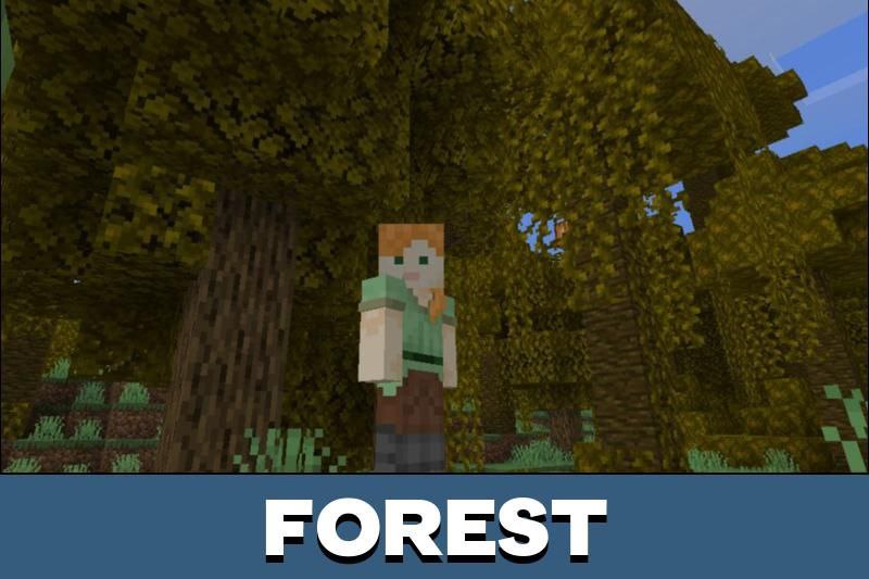 Seasons 4