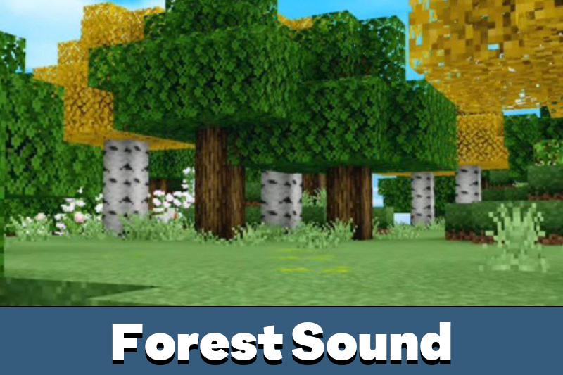 Ambient Sounds 1