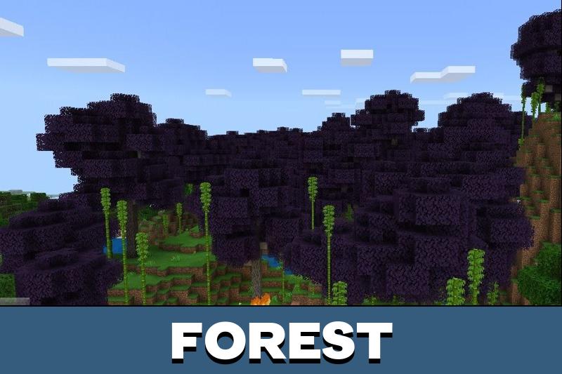 Swamp 2
