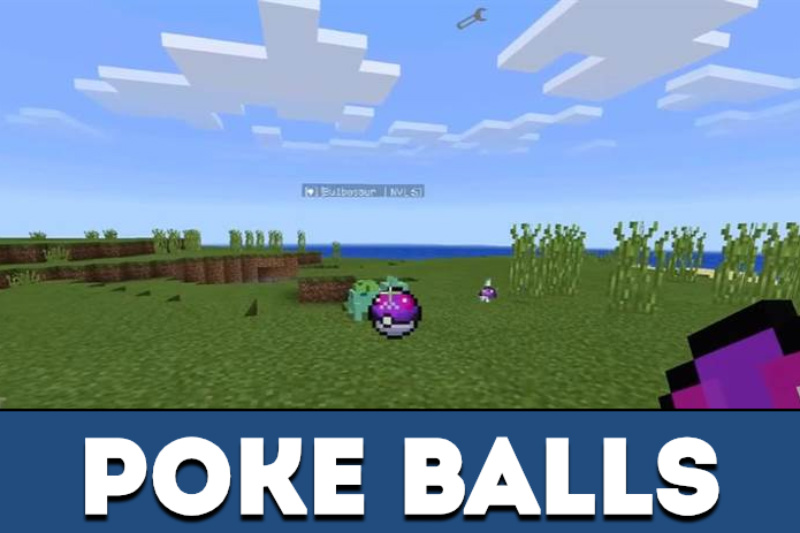 Pokecraft 5