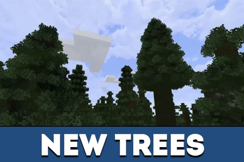 Better Foliage 3