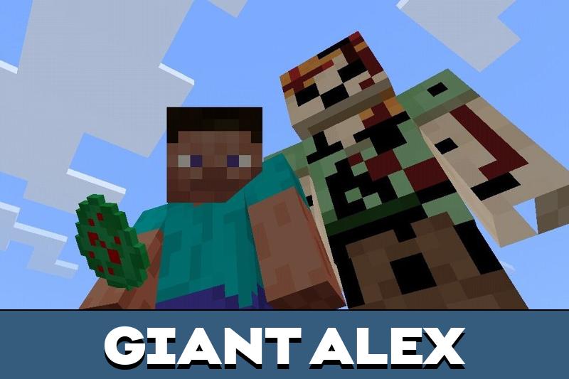 Alex 1
