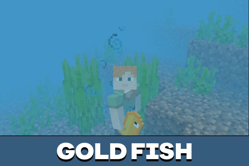 Pet 4
