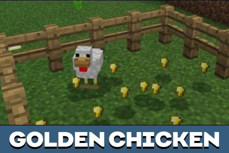 Chicken 1