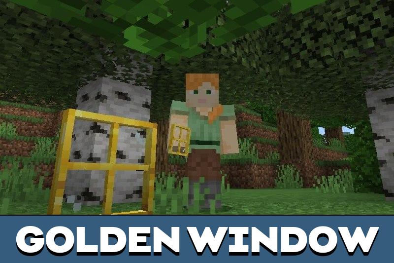 Windows 2