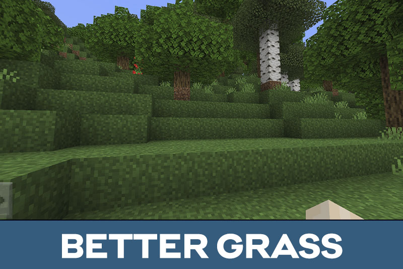 Better Vanilla Texture Pack 2