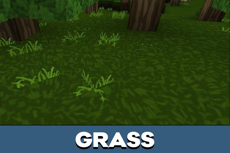 Blockman Go Texture Pack 5
