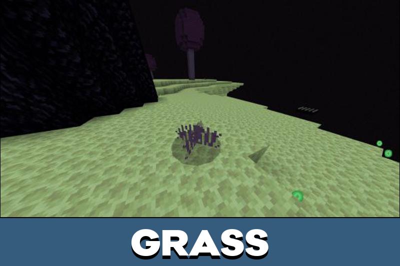 Ender World 3