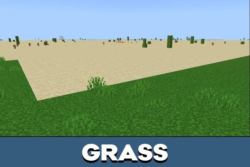Flat World 2