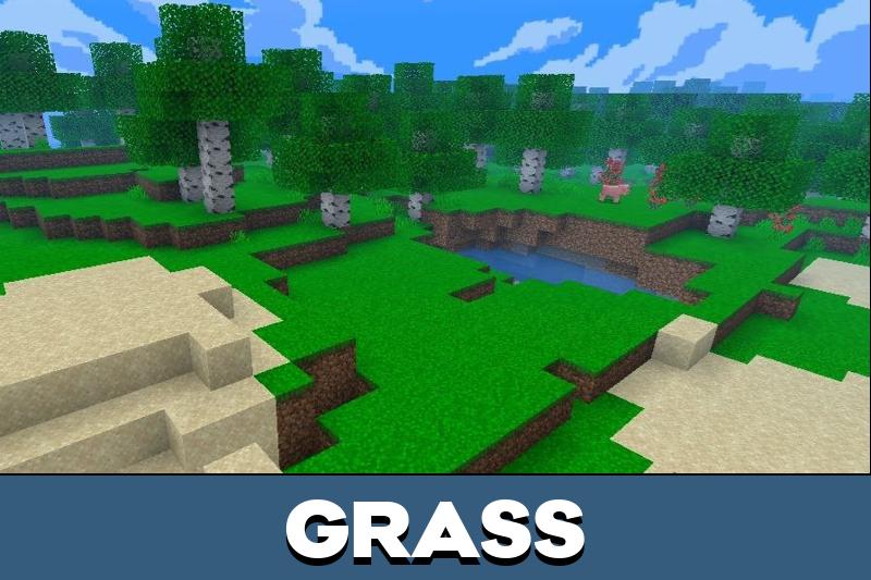 Leaves Texture Pack 4
